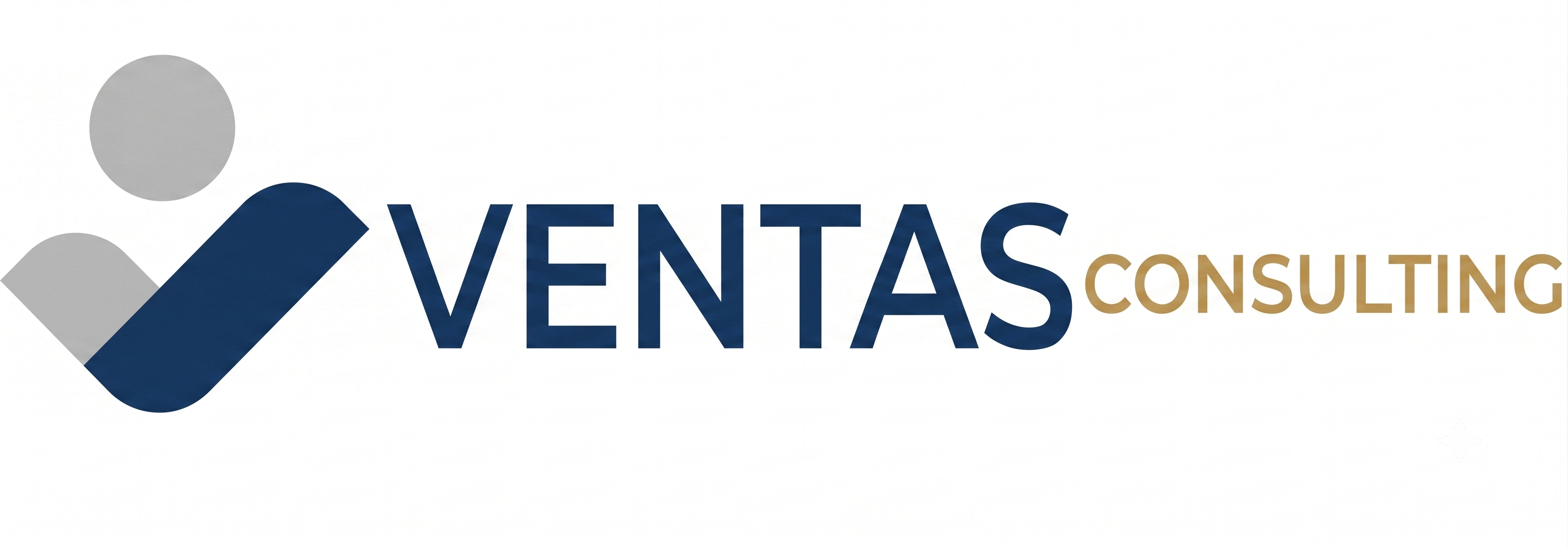 Ventas Consulting